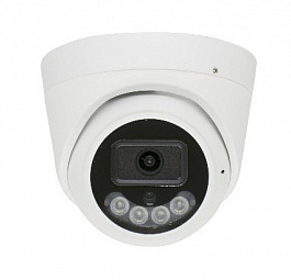 AV-IPWD545F-XM, SD POE MIC-Купольная 1/2 5 Mn, объектив 2.8 мм